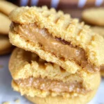 Homemade Nutter Butter Cookies